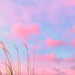 [19] 나 중학교들어가면 <b>김혜나</b>컨셉 잡는다....