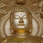 [EXO] 아니 이쯤되면 얘네 인성뭐임