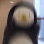 [화력살리기] 샤브샤브 홀<b>서빙</b> 알바생인데 질문받음 !