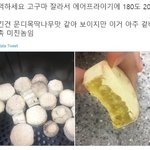 너네본진이 첸 사건이면 탈덕한다 <b>만다</b>?