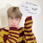 고양이 <b>왕자</b>님의 등장!