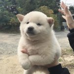 [댓글부탁해] 너네 입술 각질같은 거 어떻게 관리해?ㅠㅠ