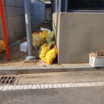 [고양이] 쓰레기장옆에 새끼 고양이 아파보이는데 어쩌죠?