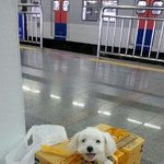 너넨 주예지 <b>용접</b> 발언 어떻게 생각해?