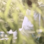 [강다니엘] 전지적 <b>귀뚜라미</b> 시점이래ㅋㅋㅋㅋㅋㅋ