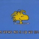 [댓글부탁해] 얘들아 나 다이어트 하는데 <b>스펙</b>좀 봐줘ㅠㅠㅠ