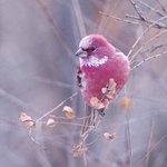 [댓글부탁해] <b>전썸남</b>이나 <b>전</b>남친한테 연락왔던 사람들