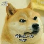 [EXO] 나 원래 9인 <b>지지</b> 였는데