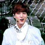 [EXO] 누가 이거보고 늑대<b>인척</b> 하는 아기 강아지래ㅠㅜㅜㅡ