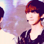 [EXO] 변백현 데뷔초 무슨<b>일임</b> ㄹㅇ