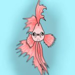 <b>그림</b> <b>연습</b>