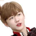 [드루와] <b>중소</b>기업 사장? 대표이사?정도면 얼마나 벌어??