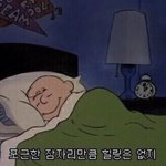 나 예비교대생인데 질문받아 :)