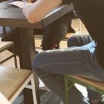 [EXO] 세시에 공개 ㅇㅈㄹ 지가 뭔 아침<b>드라마</b>임?
