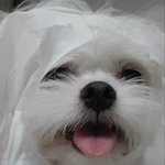 [EXO] 강<b>쥐</b> 하나만 더..
