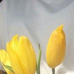 [드루와] 자기만 아는 팝송 추천하고 가자!