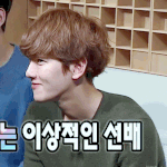 [EXO] <b>변백현</b>은 이거지