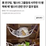 [<b>19</b>] 순수한<b>썰</b> 좀 풀어줘