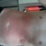 대통령님에게 올리는편지