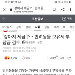 동물도 <b>세금</b> 내라고?
