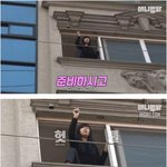 스스로를 <b>지붕</b> 위에 가둔 고양이