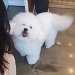 [댓글부탁해] 난 <b>방</b>탈출 할 <b>때</b>마다