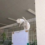 어디서든 '<b>꿀잠</b>' 보장!