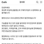 동탄 유기견 주인 혹은 <b>임보</b>, 입양처 찾습니다(아는 강아지인지 관심...