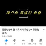 [강아지] <b>레오</b>의 특별한 외출