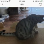 [댓글부탁해] 얘 욕하는 말투 왤케 <b>장용준</b>같냐