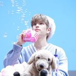 [SKZ] <b>승민</b>이 보고 싶어 짤,,,