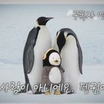 [댓글부탁해] 공차 <b>스탬프</b> 찍으면 뭐하는거임
