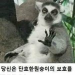 [드루와] 와 진짜 머글인데도 <b>첸</b> 사건;;;