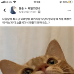 [드루와] 우리<b>지역</b> <b>시내</b> 망해가는거같음...