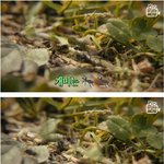 음알못이 만든 <b>악기</b> 미니어처