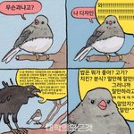 [댓글부탁해] 나 이번에 반<b>배정</b> 진짜 잘될듯ㅜㅜㅜㅜㅜㅜㅜ