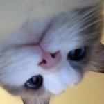 [조언부탁해] 20 28이랑 사귀면 데이트비용 어캐 생각해?