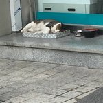 [댓글부탁해] <b>노숙</b> 고영휘 귀엽다 추반