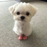 근데 <b>세훈</b>은 사람이 진짜 괜찮은 듯