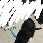 [드루와] 커<b>여유</b>ㅓ ㅠ 커엽다고~~!~!~!