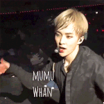 [EXO] <b>심신</b>안정용 엑소 보고가셈