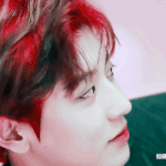 [EXO] 머글도 알겠다니 정답은 찬<b>여리</b>