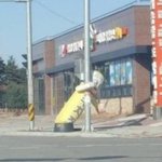 [EXO] 변백현 깨톡프사 이걸로<b>한이유</b>가 너무궁금함