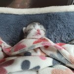 일어났는데 <b>상쾌</b>하고 주변이 밝다