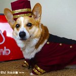 여행객들 홀리는 <b>지배</b>인들