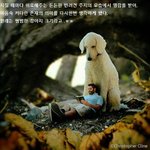 사람보다 훨 큰 댕댕이의 비밀