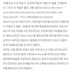 방탄신곡 블랙<b>스완</b> 가사 의미