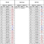 블랙<b>스완</b> 진입표 정확히 나왔다