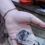[꼭좀읽어줘] 바른먹거리??돈주고쓰레기삼