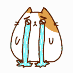 [다이어트] 다이어트 조언좀 해주세요